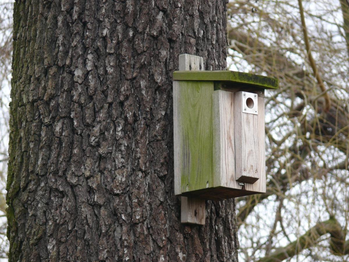 Domek Nad Jeziorem Osieczna Exteriör bild