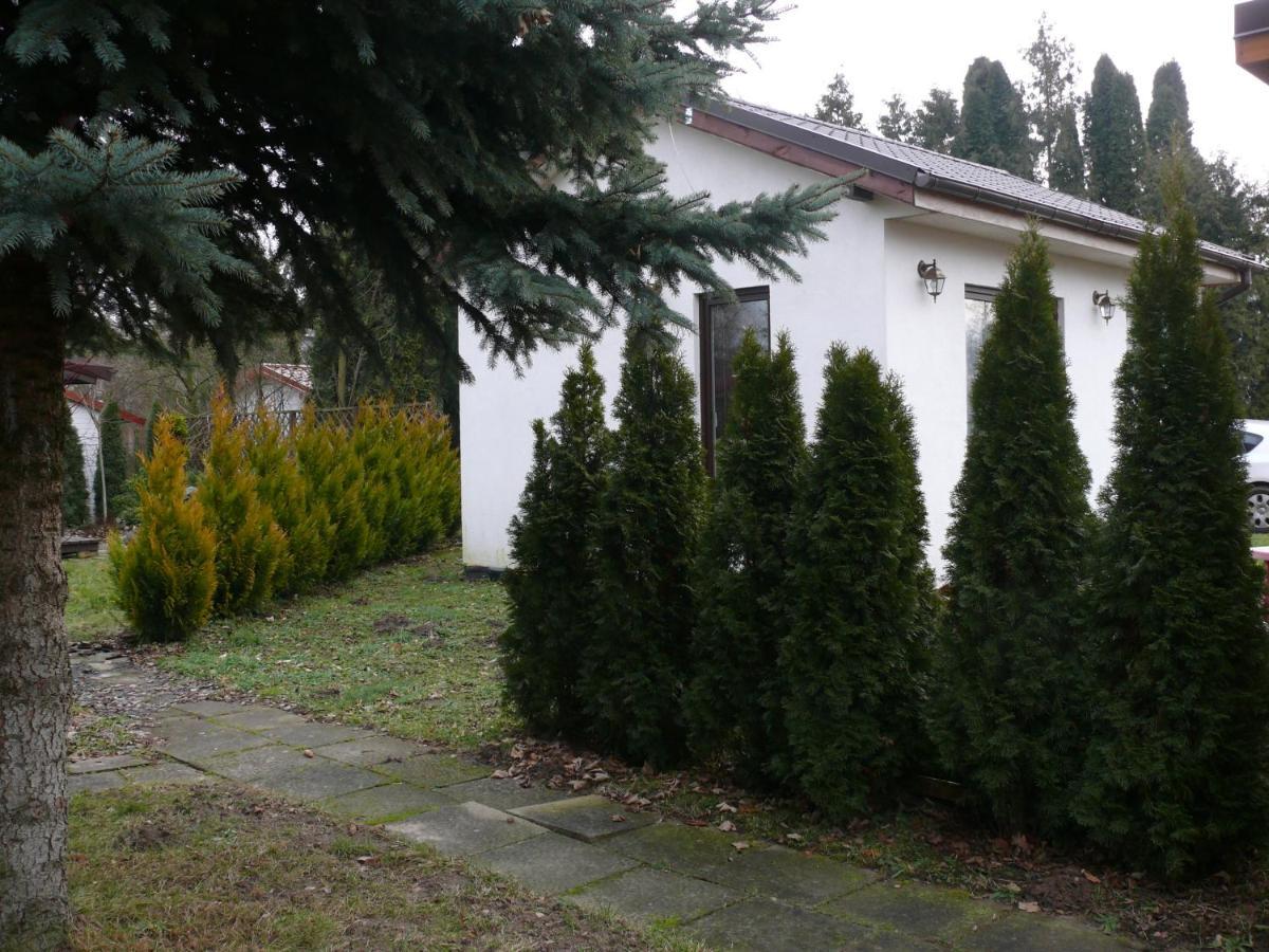 Domek Nad Jeziorem Osieczna Exteriör bild